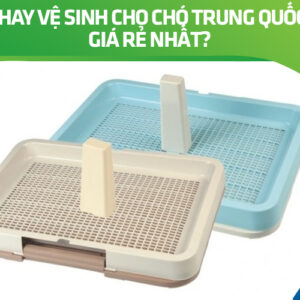 Top 3+ khay vệ sinh cho chó Trung Quốc bán chạy nhất, link shop uy tín